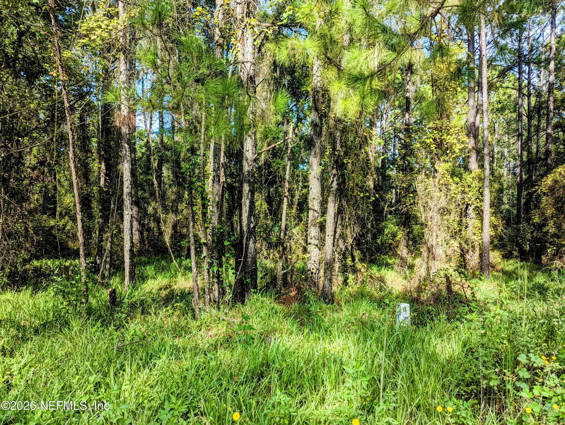 000 NE Us Highway 301 Waldo FL 32694