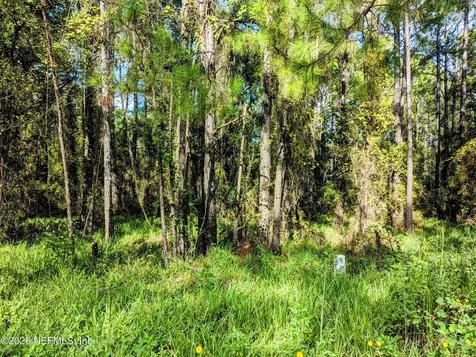 000 NE Us Highway 301 Waldo FL 32694