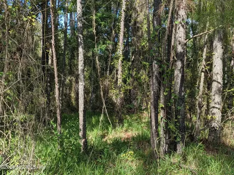 000 NE Us Highway 301 Waldo FL 32694