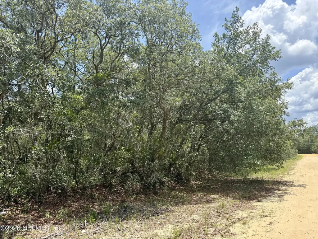 Xxx Wallace Street Interlachen FL 32148