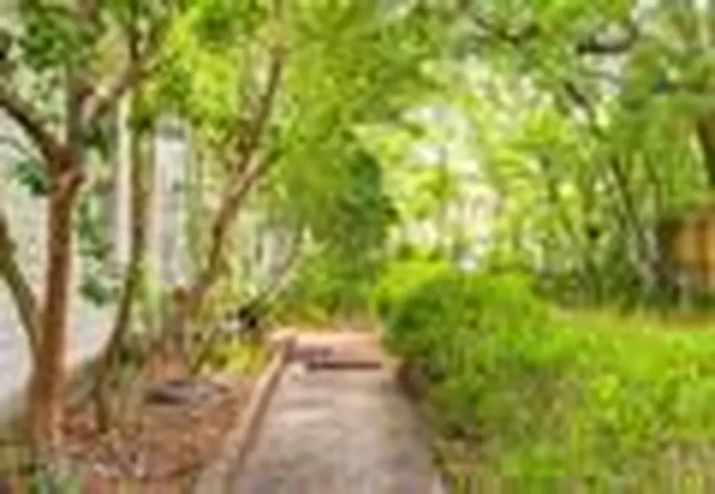 1203 Hubbard Jacksonville FL 32206