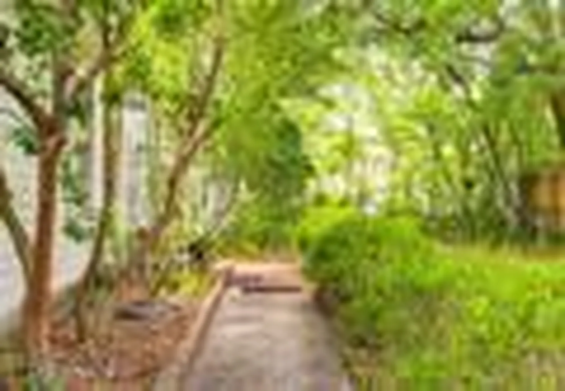 1203 Hubbard Jacksonville FL 32206