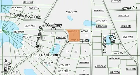 118 Strawberry Street Pomona Park FL 32181