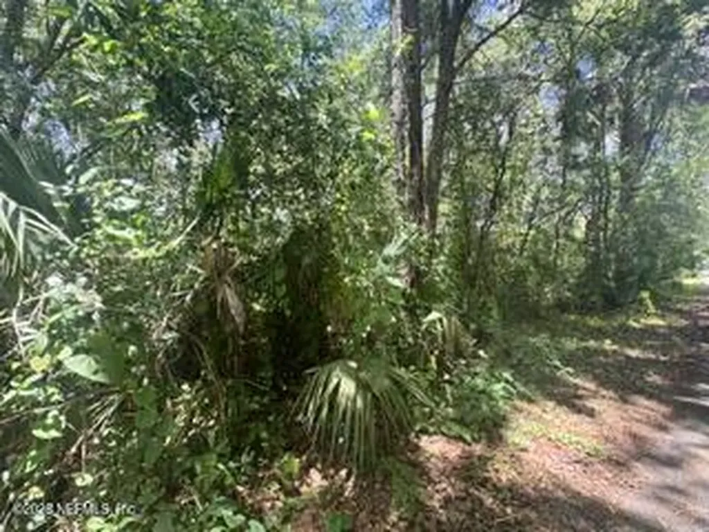 205 Washington Avenue Green Cove Springs FL 32043