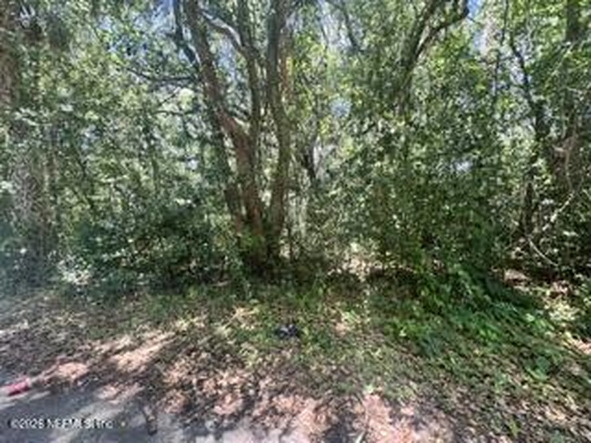 205 Washington Avenue Green Cove Springs FL 32043