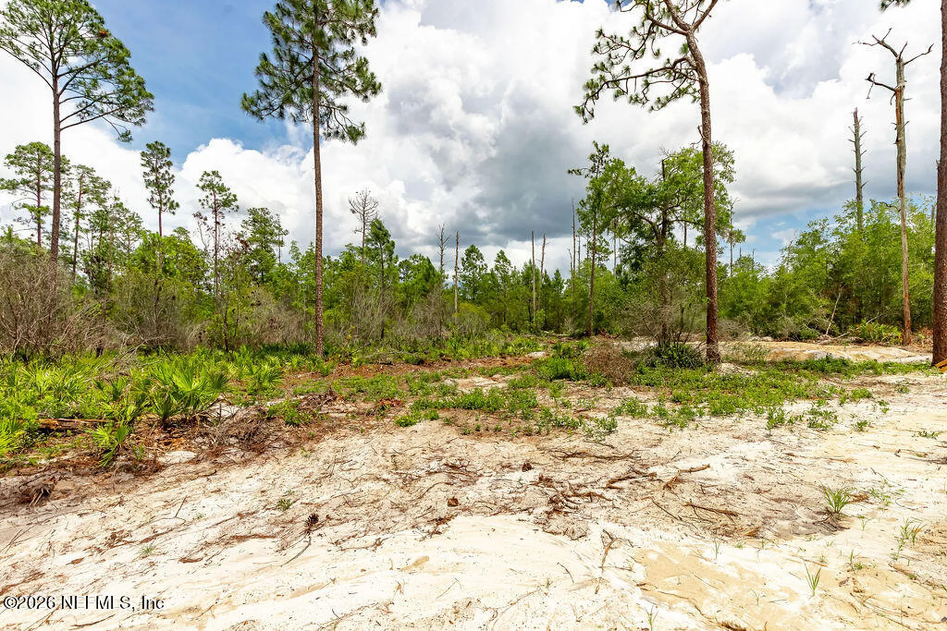 230 Redeye Road Florahome FL 32140