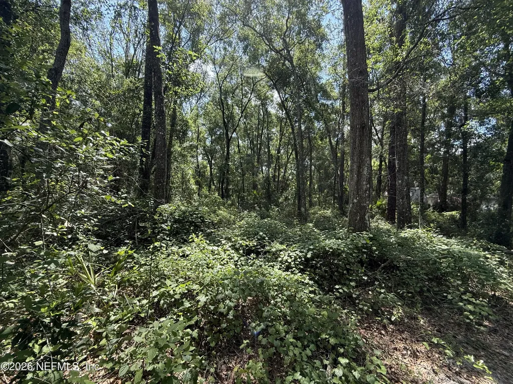 118 Shady Oak Drive Satsuma FL 32189