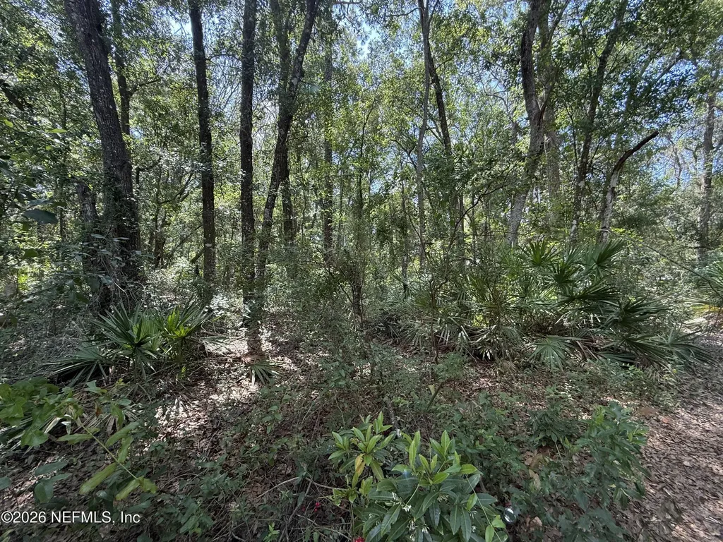 118 Shady Oak Drive Satsuma FL 32189