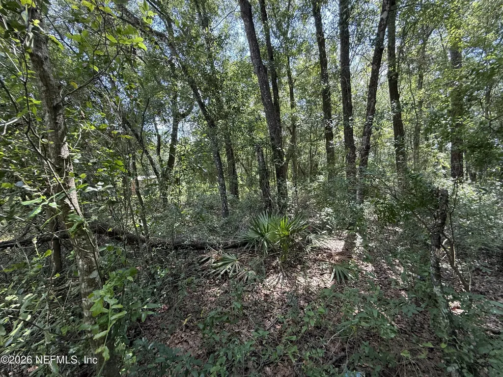 118 Shady Oak Drive Satsuma FL 32189