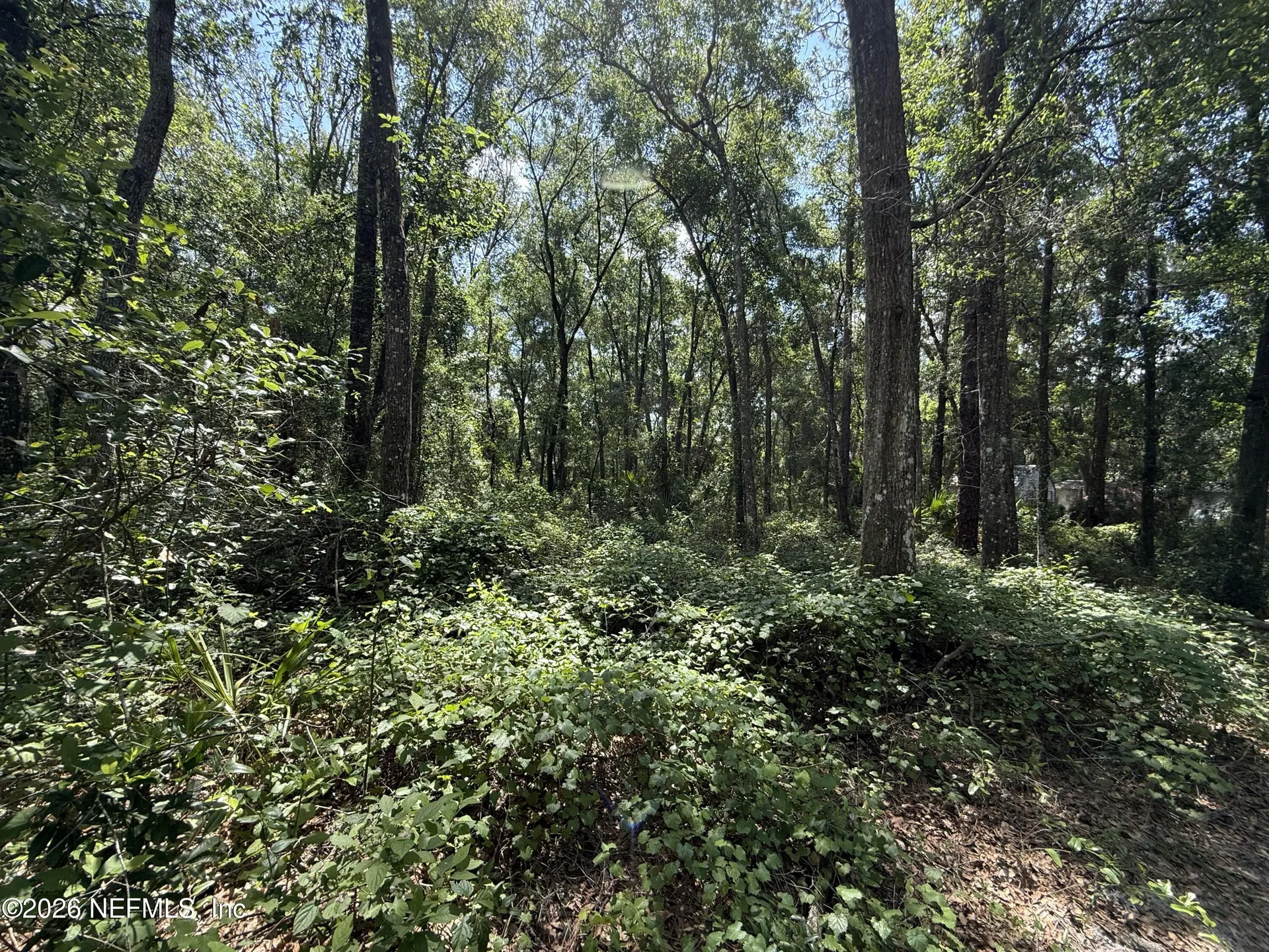 118 Shady Oak Drive Satsuma FL 32189