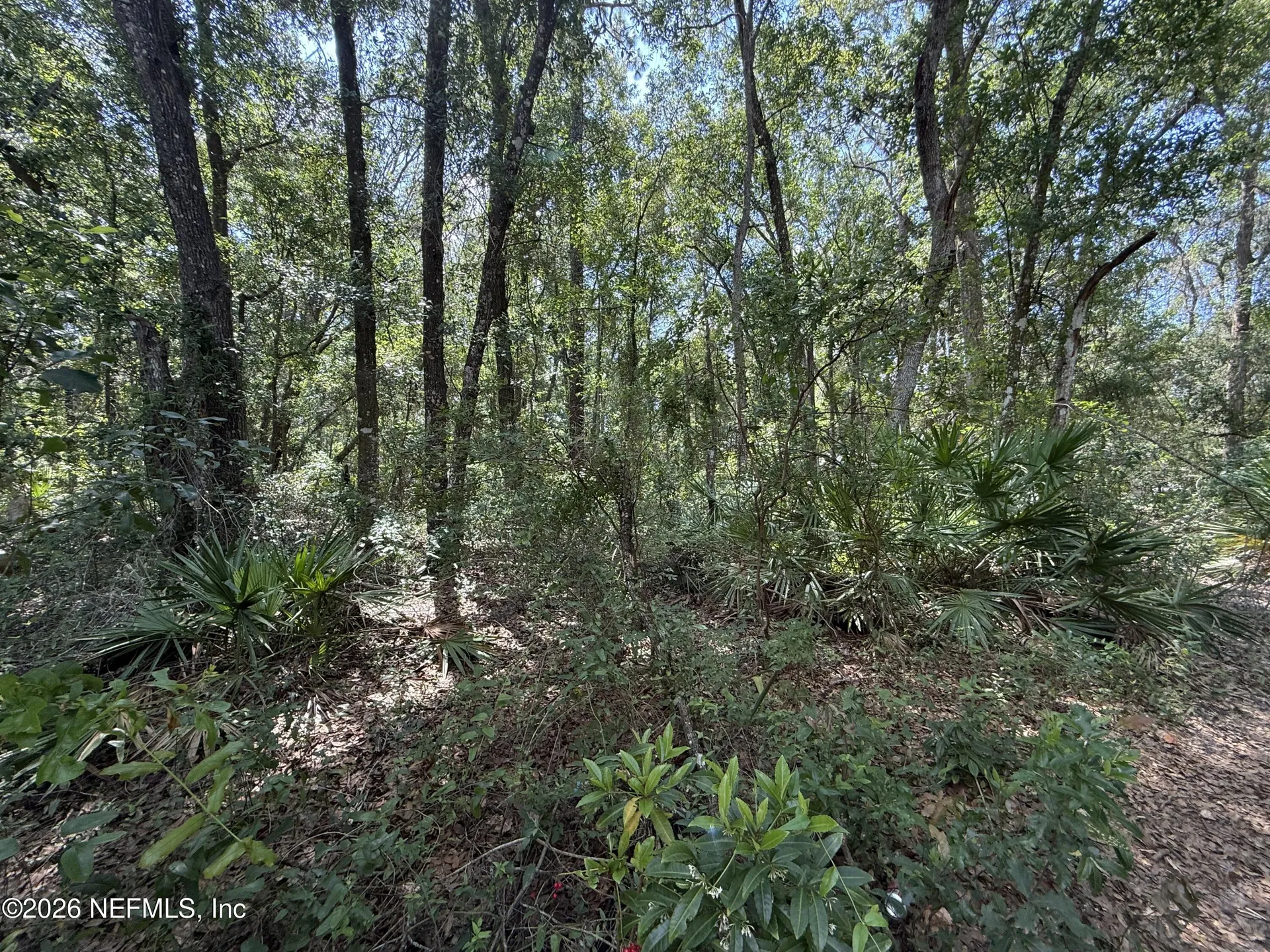 118 Shady Oak Drive Satsuma FL 32189