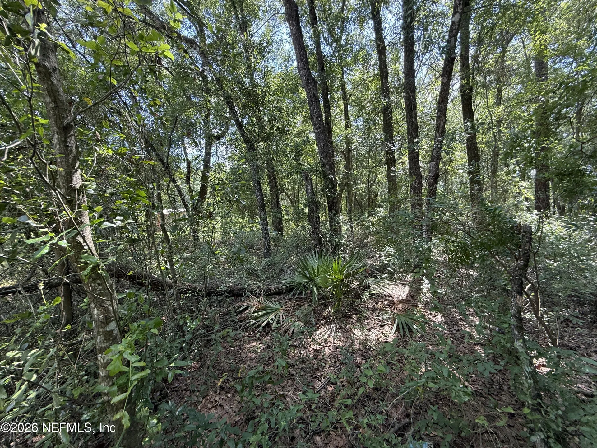 118 Shady Oak Drive Satsuma FL 32189
