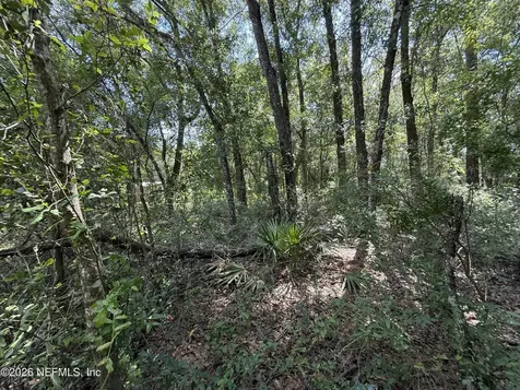 118 Shady Oak Drive Satsuma FL 32189