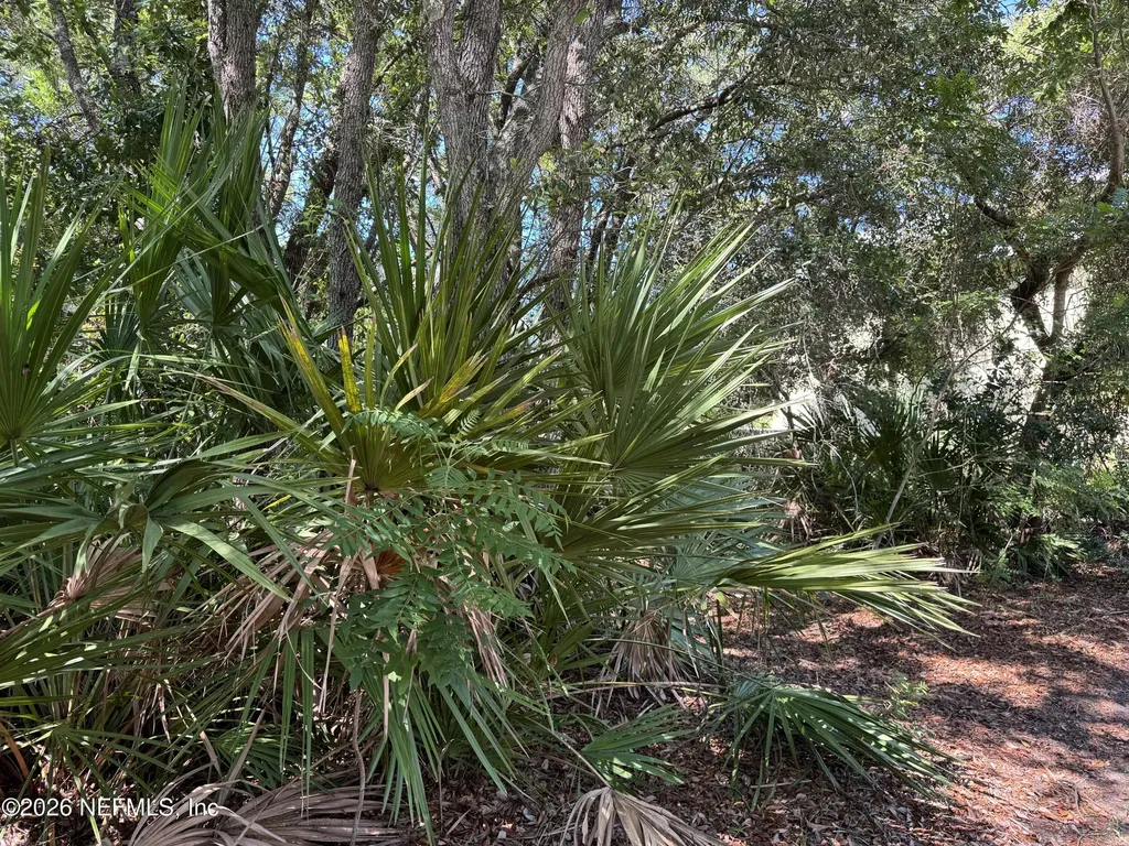 0 Park Avenue Fernandina Beach FL 32034