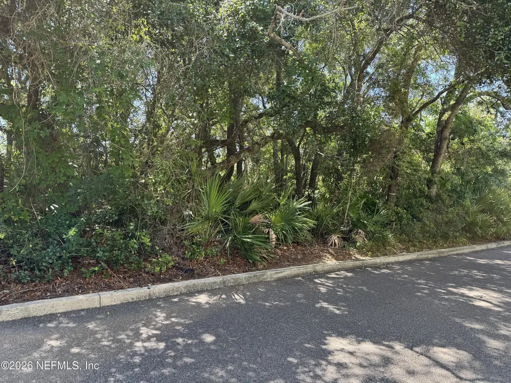 0 Park Avenue Fernandina Beach FL 32034
