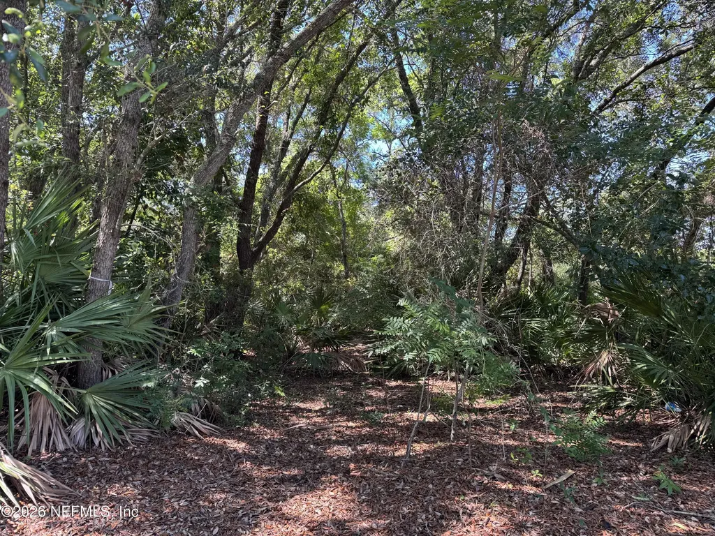 0 Park Avenue Fernandina Beach FL 32034