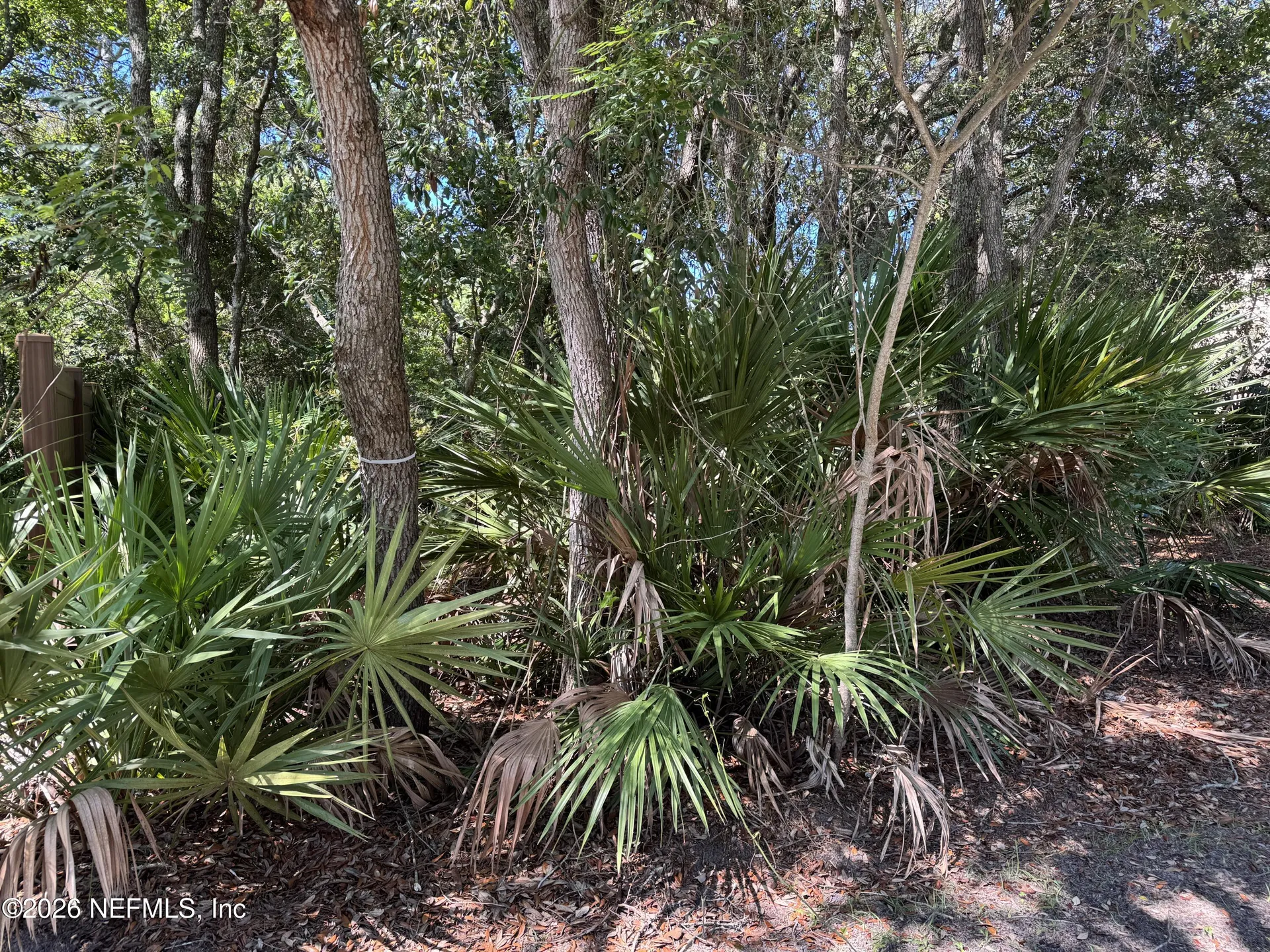0 Park Avenue Fernandina Beach FL 32034