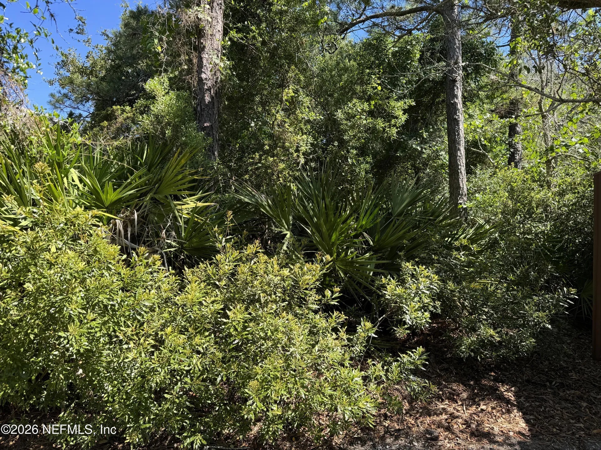 0 Park Avenue Fernandina Beach FL 32034