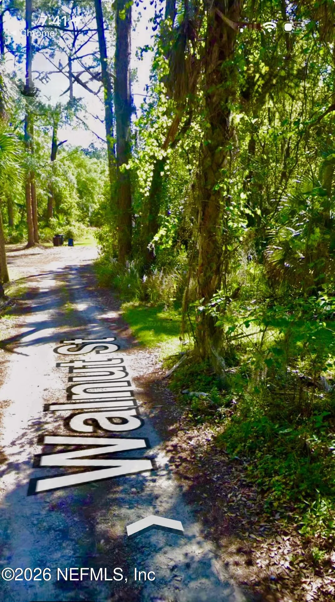 627 Walnut Street Welaka FL 32193