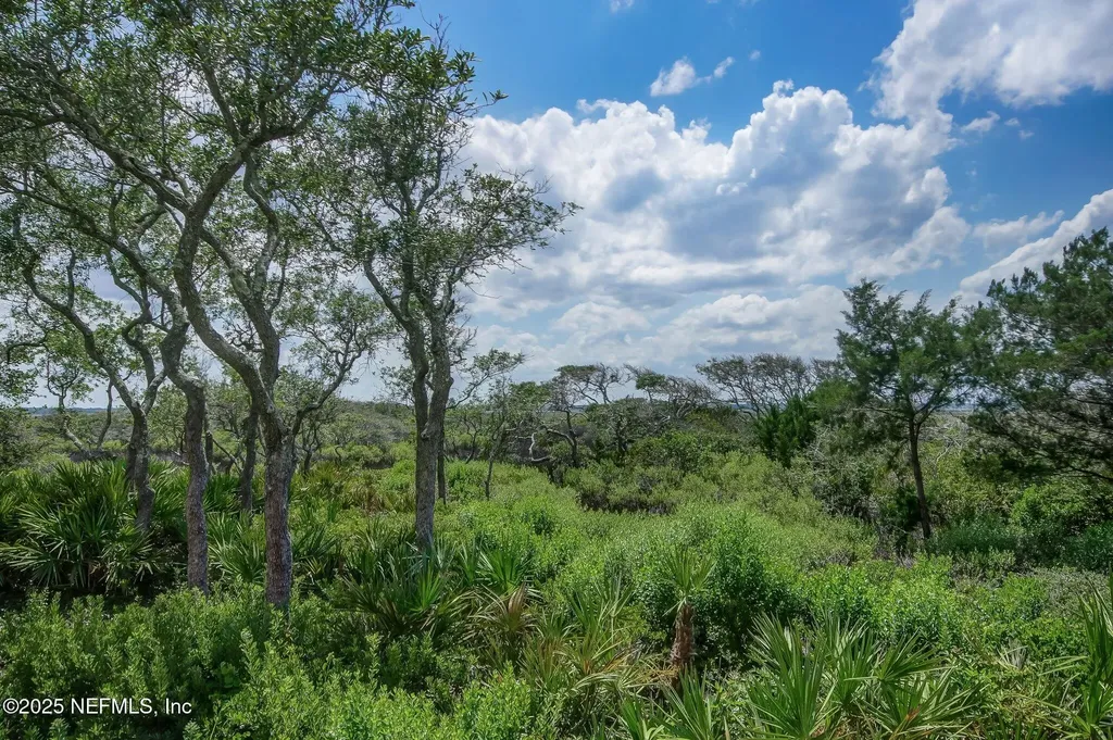 425 N Ocean Grande Drive Ponte Vedra Beach FL 32082
