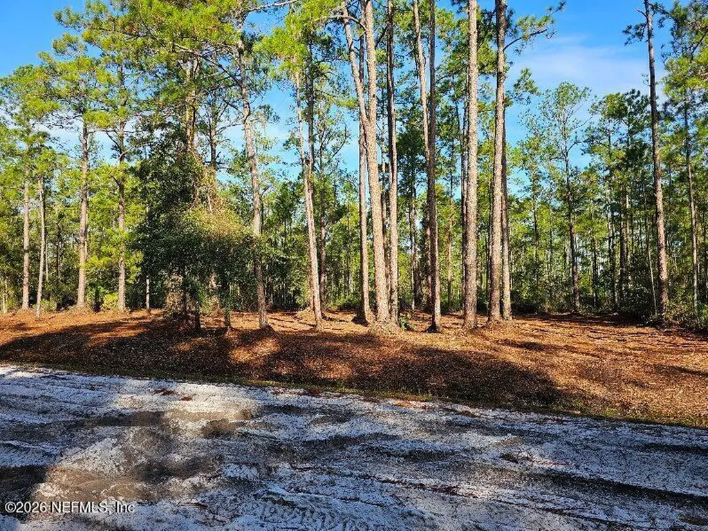 211 Georgetown Denver Road Georgetown FL 32139