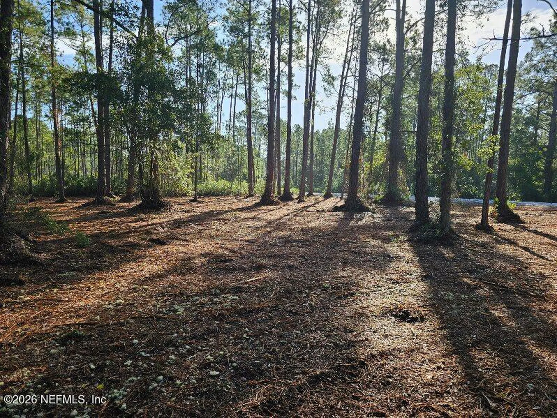 211 Georgetown Denver Road Georgetown FL 32139