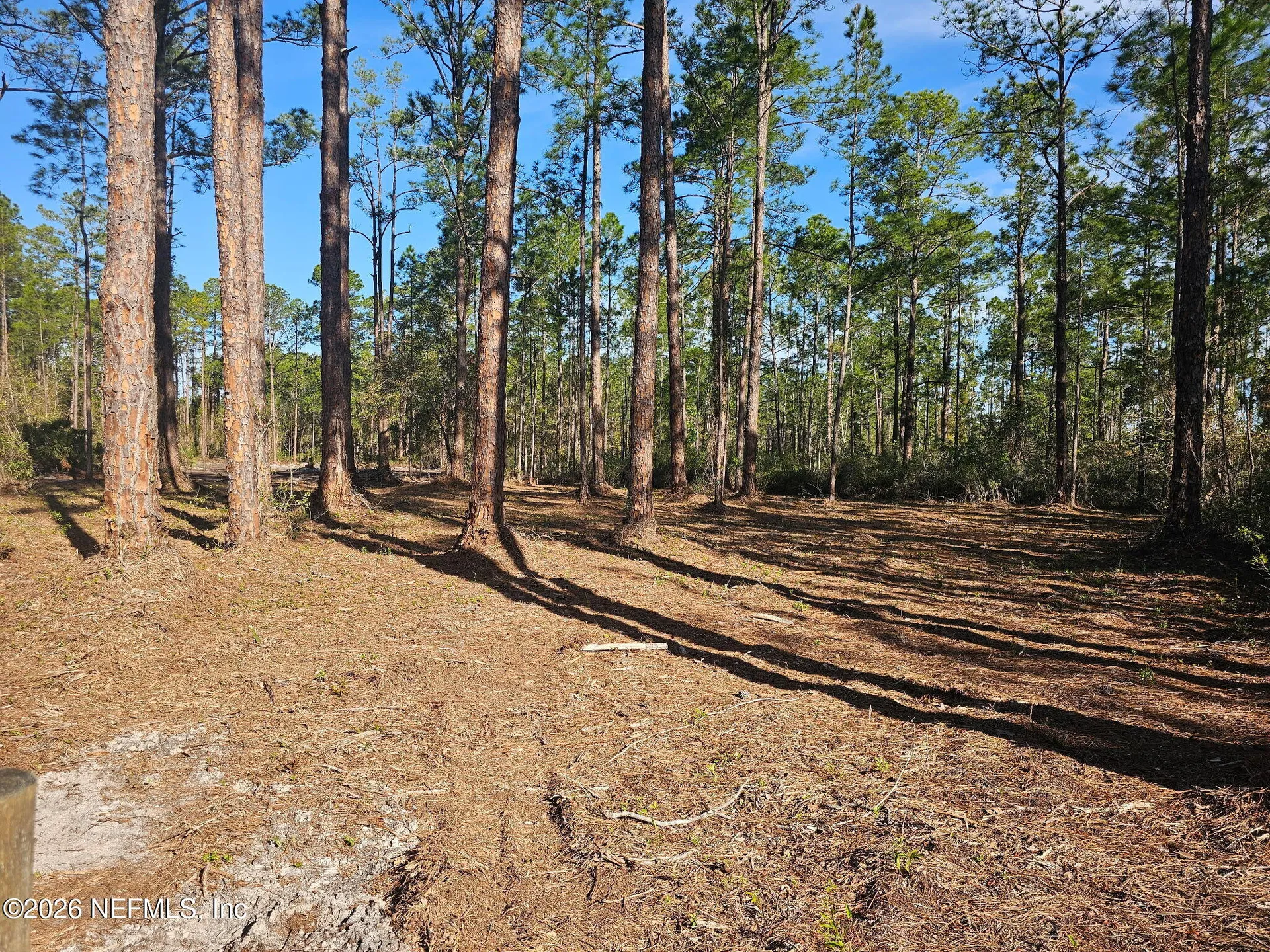 211 Georgetown Denver Road Georgetown FL 32139