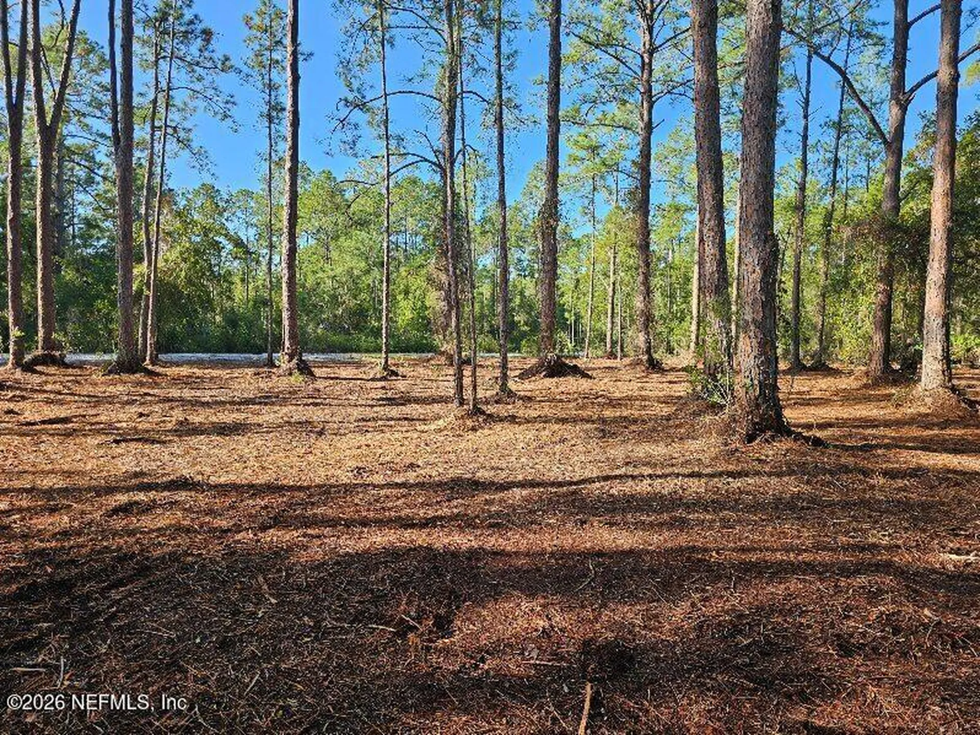 211 Georgetown Denver Road Georgetown FL 32139