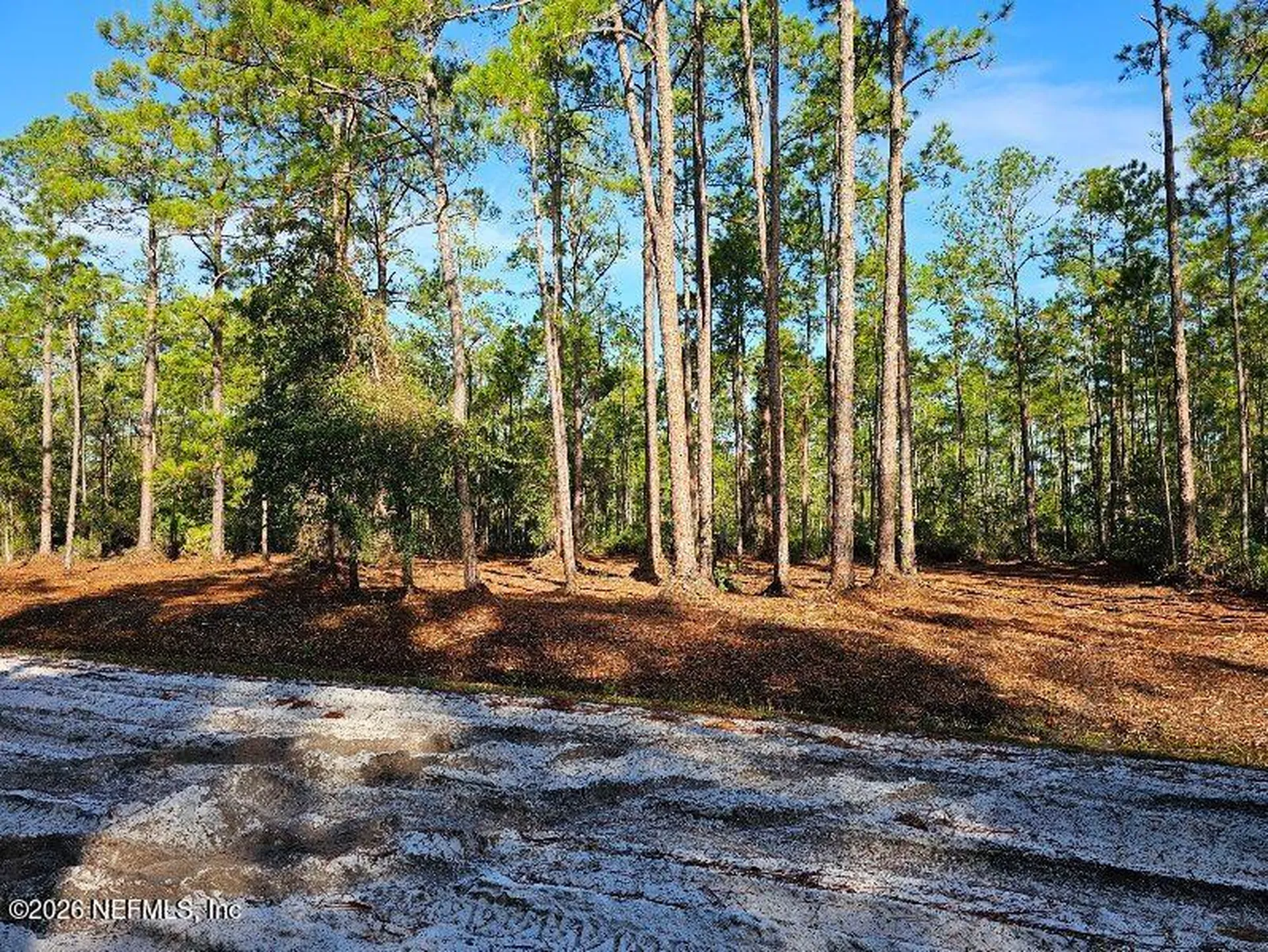 211 Georgetown Denver Road Georgetown FL 32139