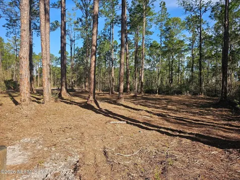 211 Georgetown Denver Road Georgetown FL 32139