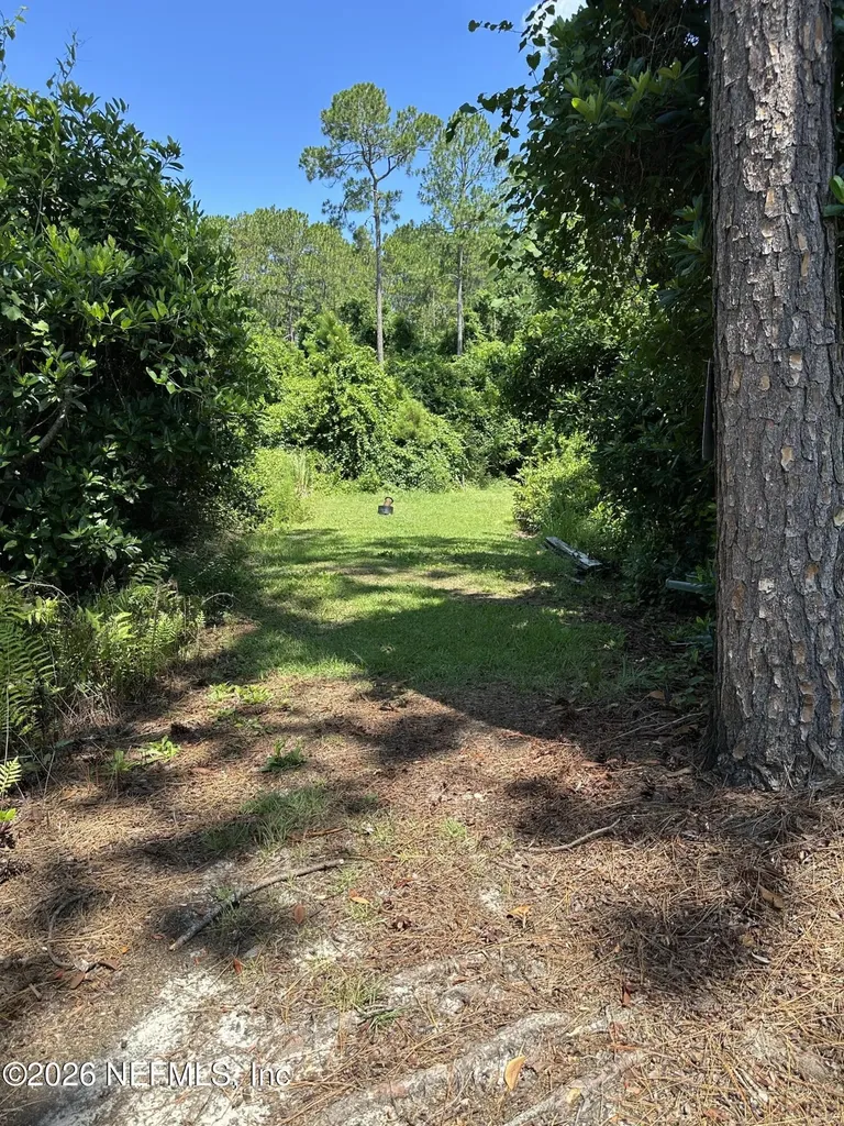 21317 SE 111th Avenue Hawthorne FL 32640