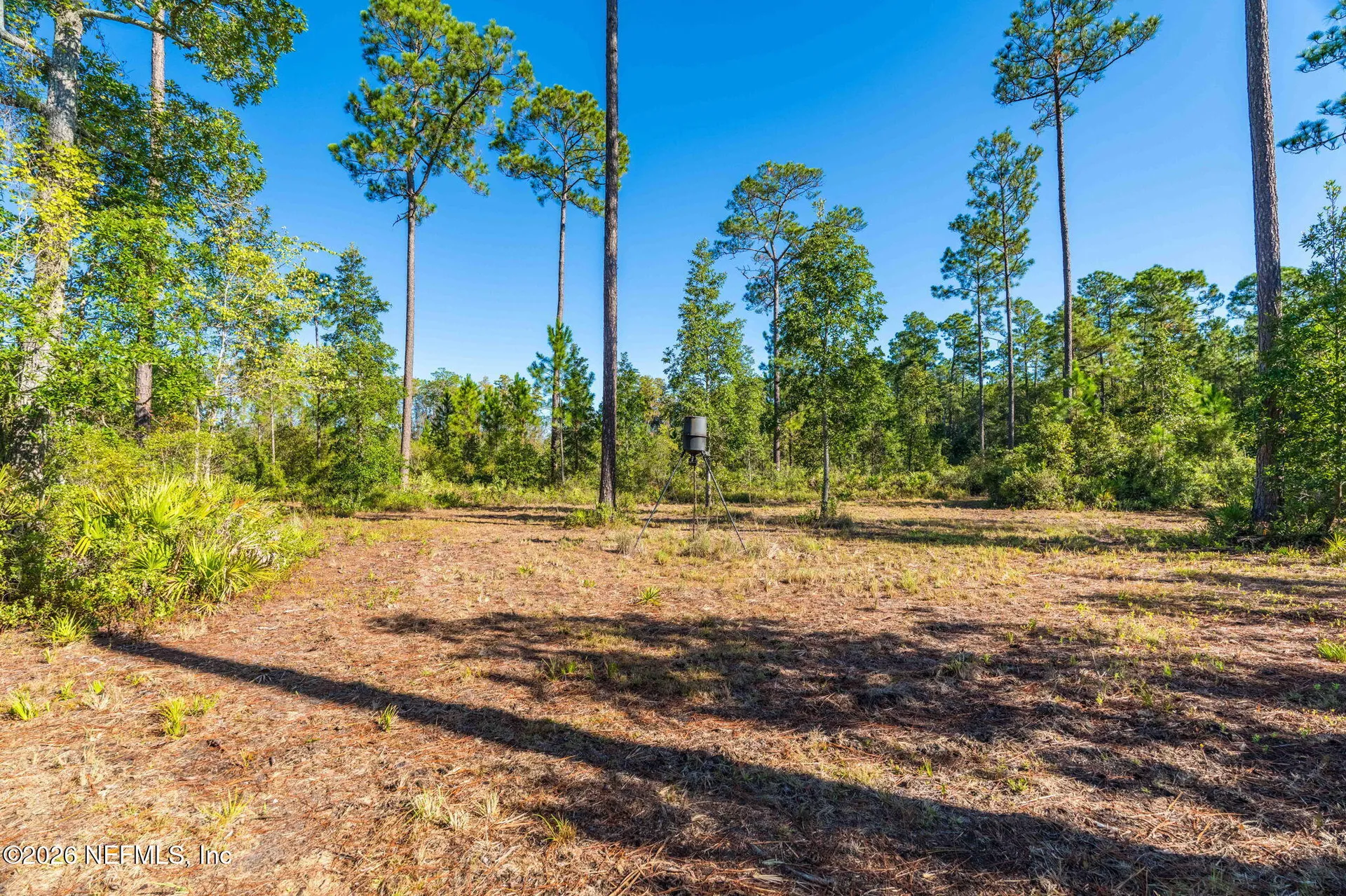 2411 Us Highway 301 Jacksonville FL 32234