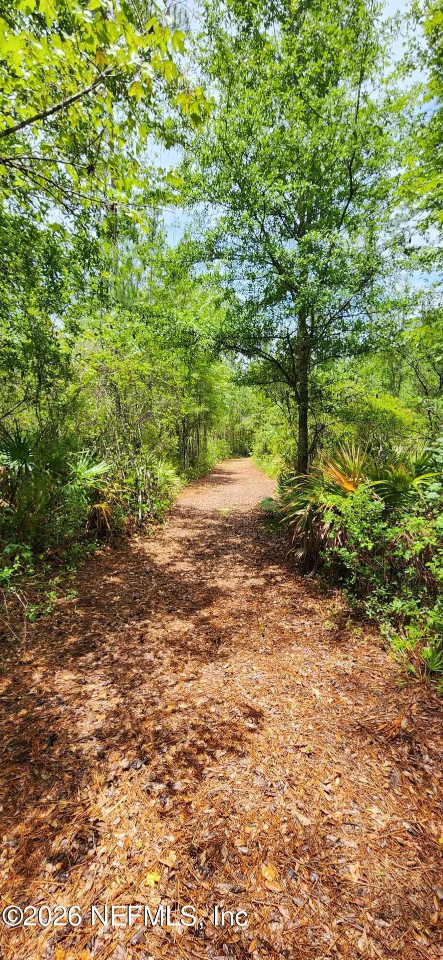 2411 Us Highway 301 Jacksonville FL 32234