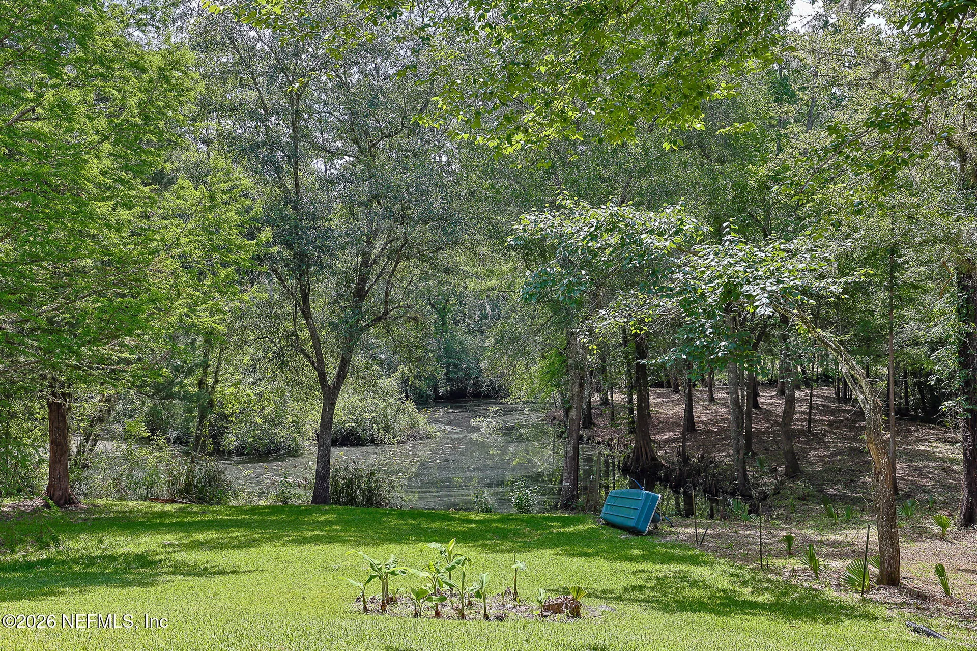 2235 Strawberry Creek Lane Middleburg FL 32068