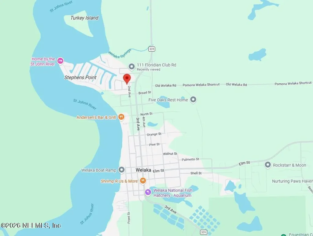 1305 2nd Avenue Welaka FL 32189
