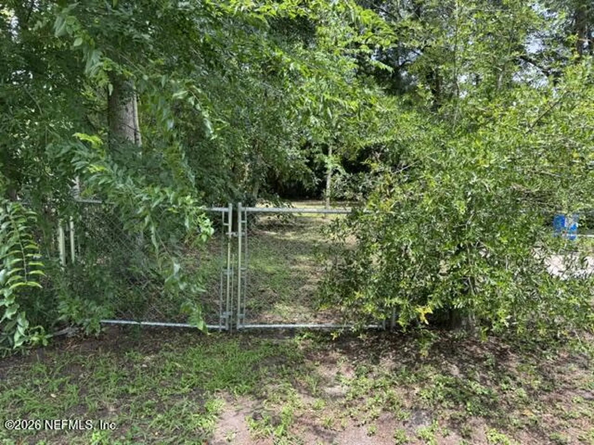 1019 Hillock Drive E Jacksonville FL 32221