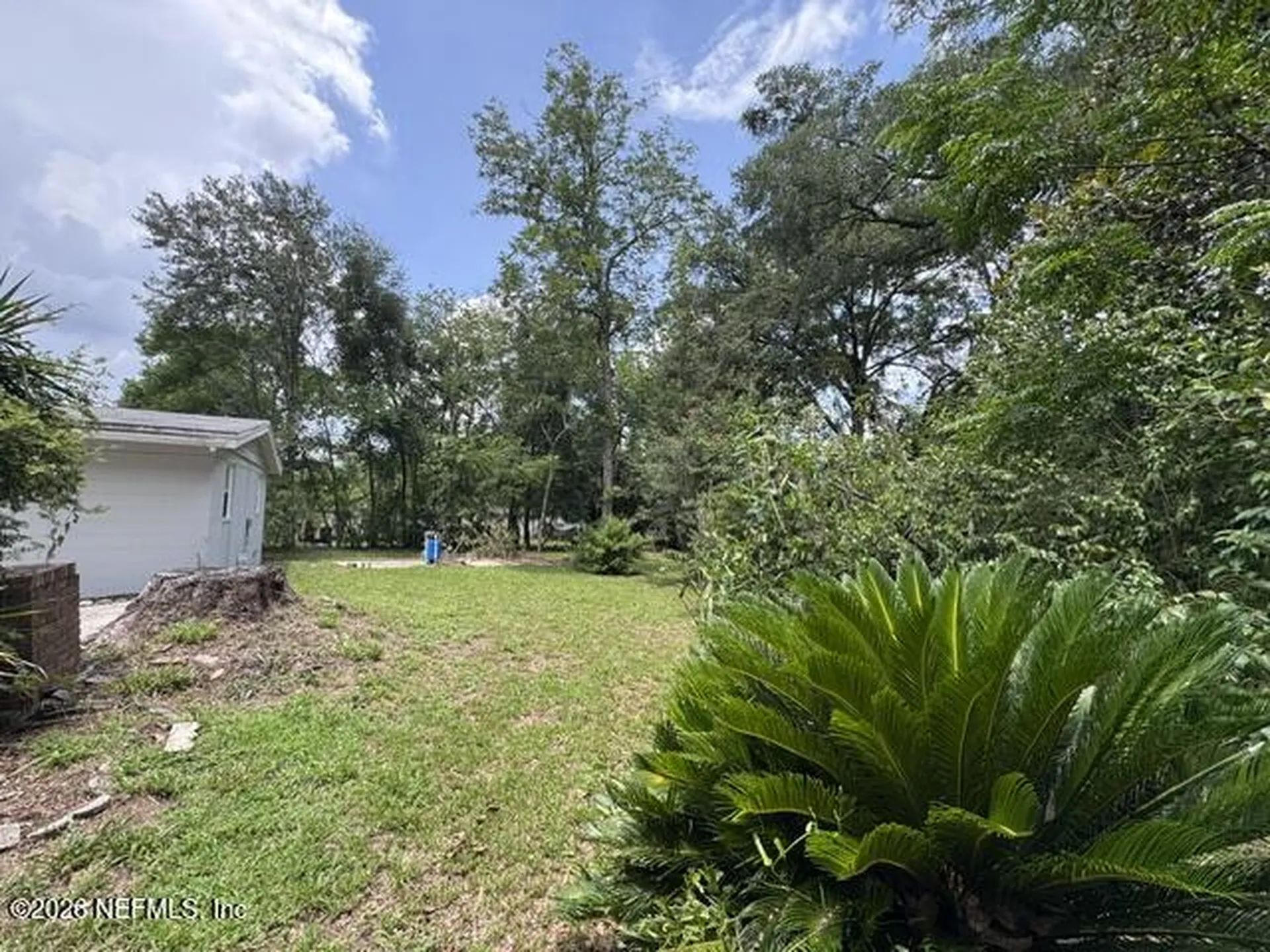 1019 Hillock Drive E Jacksonville FL 32221