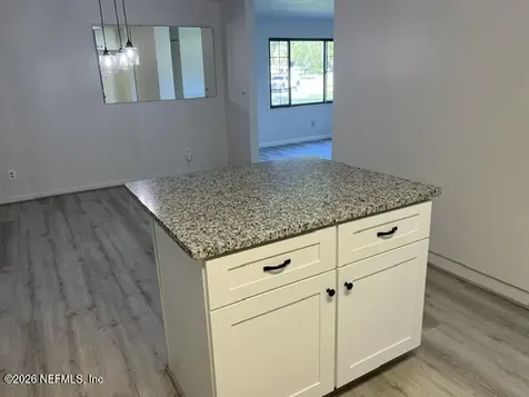 1019 Hillock Drive E Jacksonville FL 32221