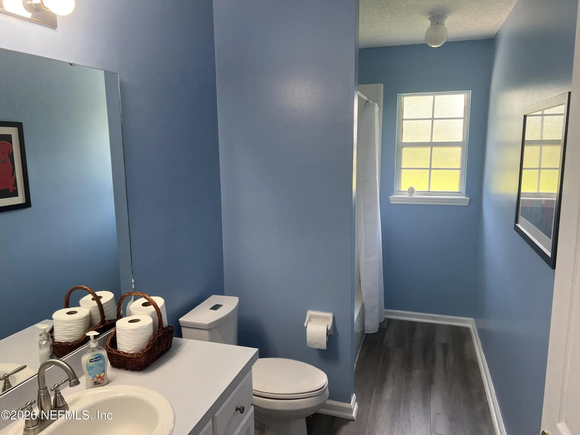 3201 Fireside Drive Middleburg FL 32068
