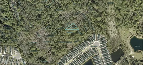 6087 Orange Tree Drive St. Augustine FL 32095