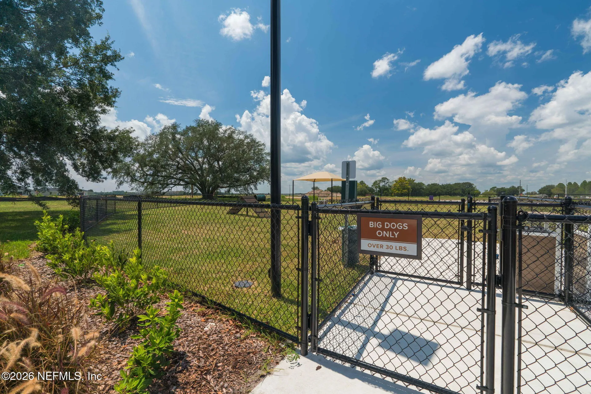 2638 Hanberry Lane Green Cove Springs FL 32043