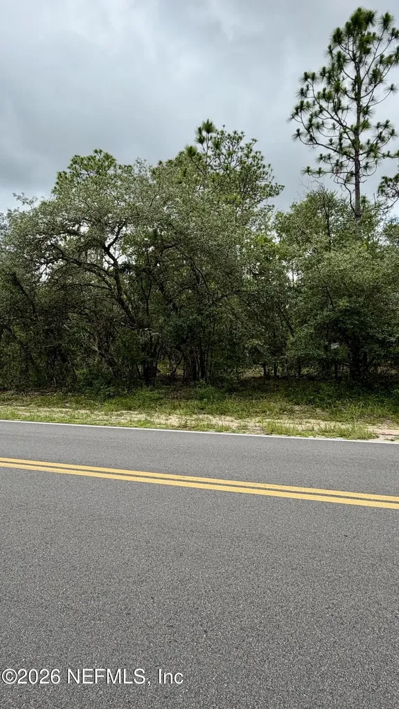 0041 Cousintown Road Interlachen FL 32148