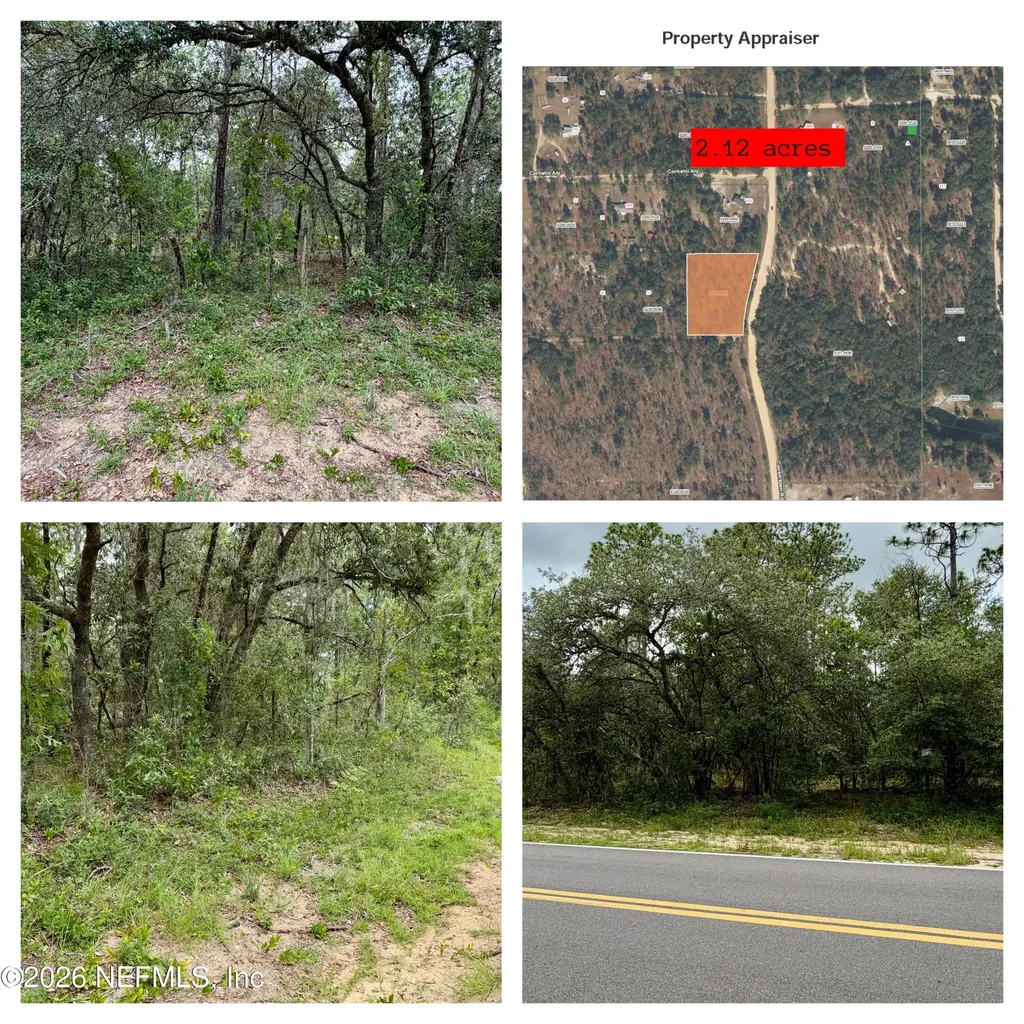 0041 Cousintown Road Interlachen FL 32148