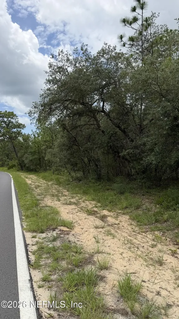 0041 Cousintown Road Interlachen FL 32148
