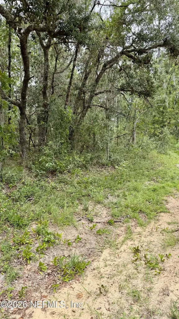 0041 Cousintown Road Interlachen FL 32148