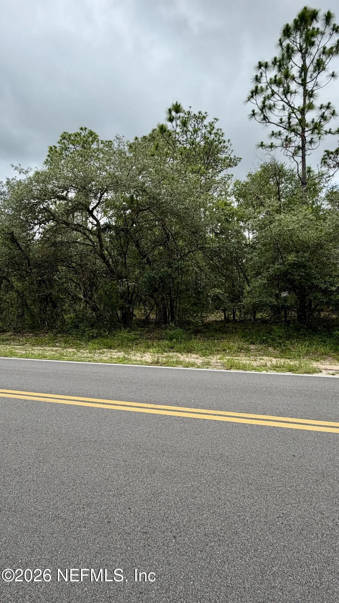 0041 Cousintown Road Interlachen FL 32148