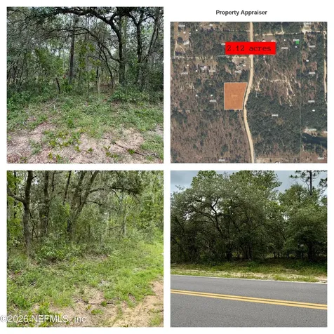 0041 Cousintown Road Interlachen FL 32148
