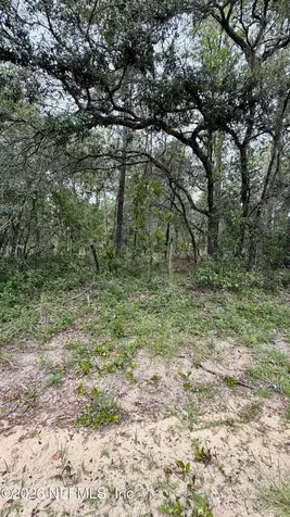 0041 Cousintown Road Interlachen FL 32148