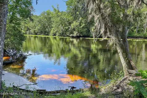 2246 Palisade Point Middleburg FL 32068