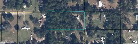 2005 Catherine Lane Middleburg FL 32068